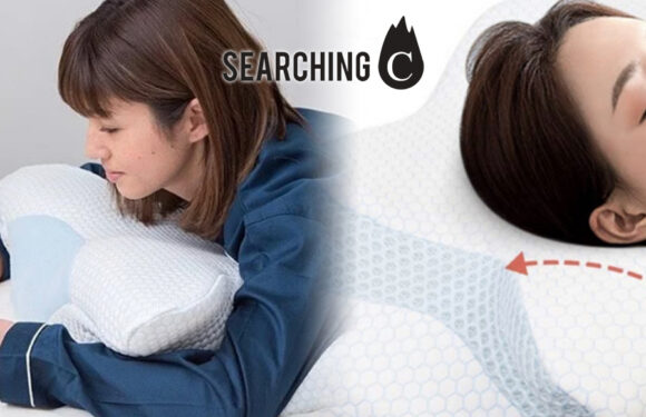 【驚喜價】購買日本製GOKUMIN 極眠止鼾枕 （原價：$629）
