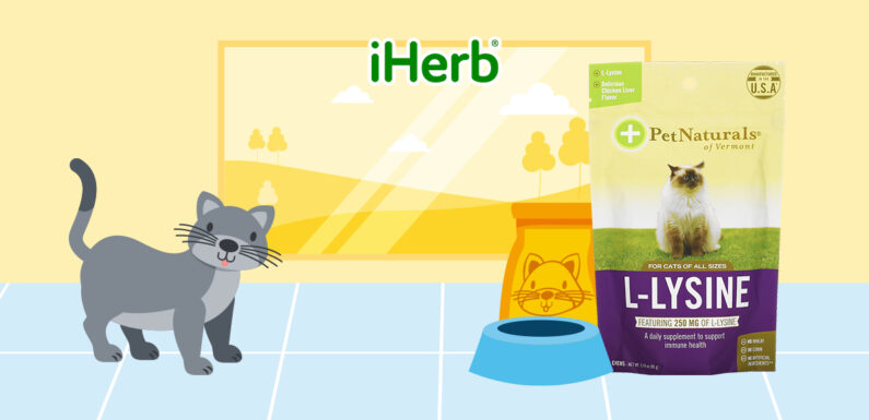 【iHerb】Pet Naturals of Vermont, 左旋賴氨酸，用於貓咪，雞肝味，250毫克，60 粒咀嚼片，3.17 盎司（90 克）
