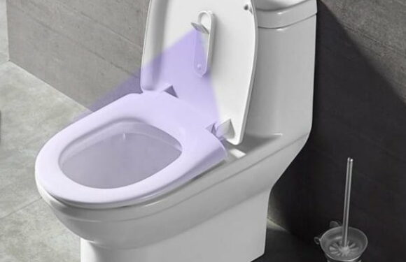 MAHATON Toilet 廁所專用殺菌器 (3月29日寄出)