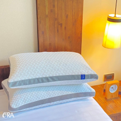 OraFlex 可調節高度 快適枕 (6月30日寄出)