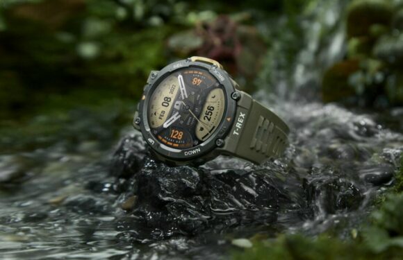 Amazfit T-Rex 2 軍規級智能手錶 – 叢林綠 (品牌直送)