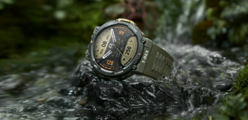 Amazfit T-Rex 2 軍規級智能手錶 – 叢林綠 (品牌直送)