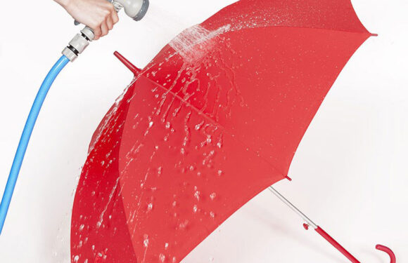日本 Unnurella 新款 Slim 抖掉水珠雨傘 – 折傘 (現貨發售)